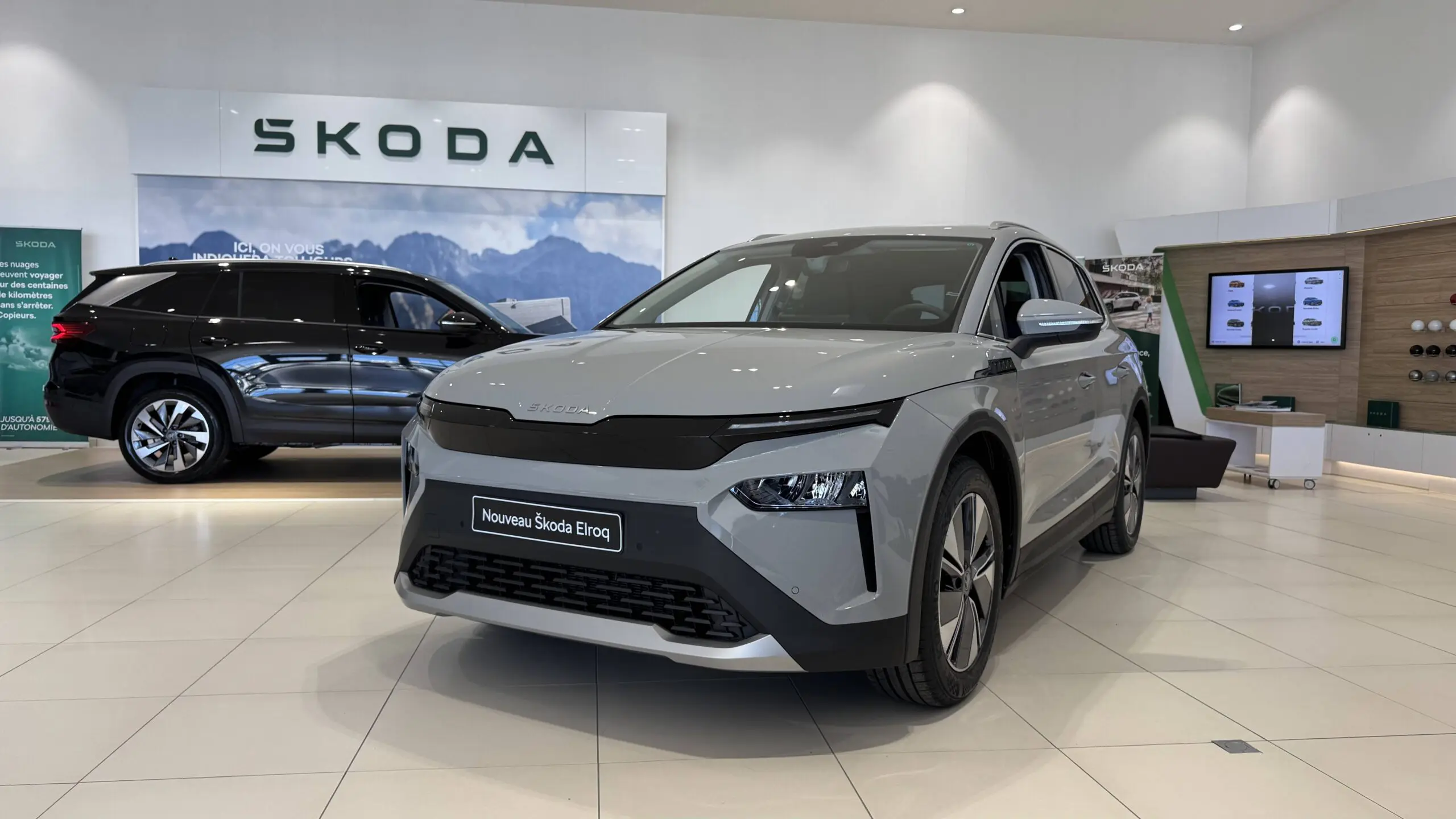 SKODA_ELROQ