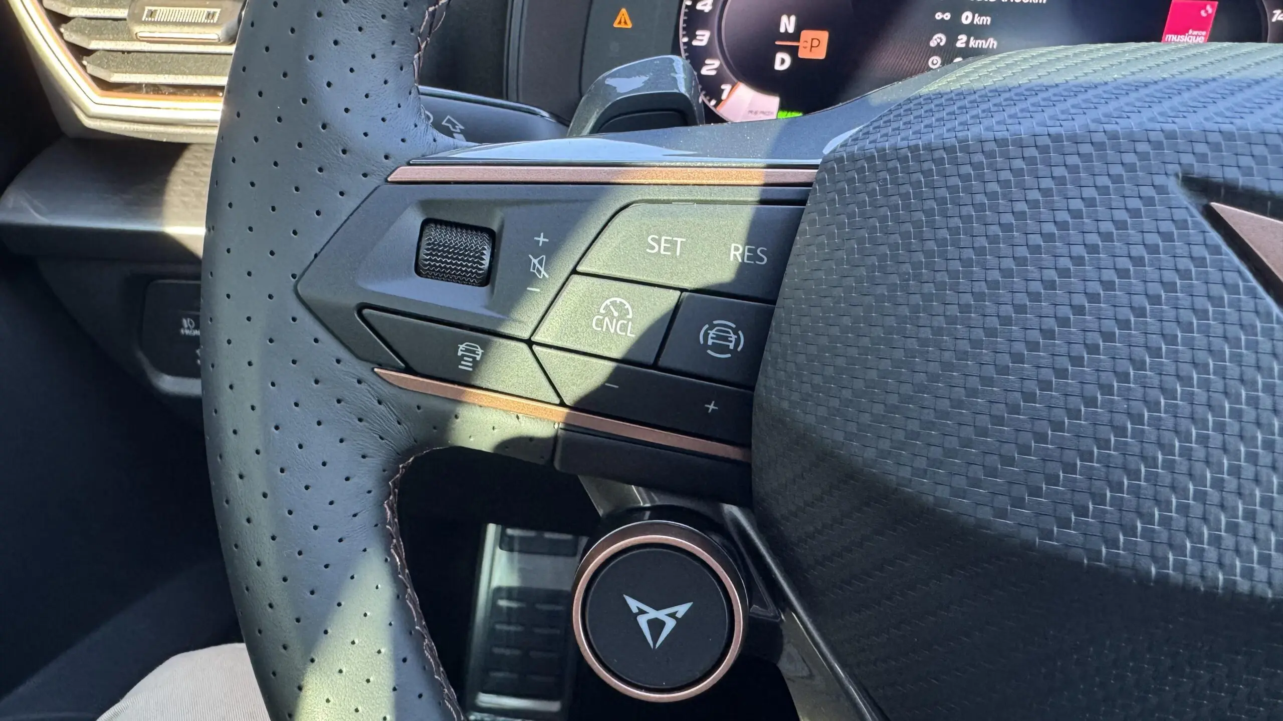 CUPRA_FORMENTOR_PANNEAU-DE-PORTE-ARRIERE-GAUCHE